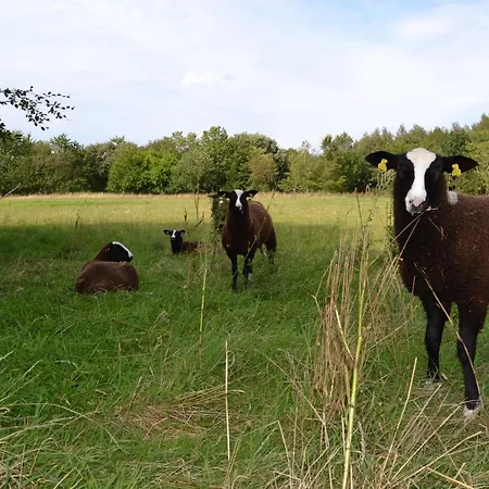 Mariegaardens Gaestehuse Oda ve Kahvaltı 3*