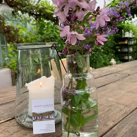 Bed and breakfast Mariegaardens Gaestehuse 3*