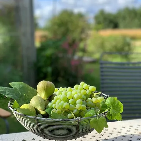 Mariegaardens Gaestehuse 3* ヒレレズ