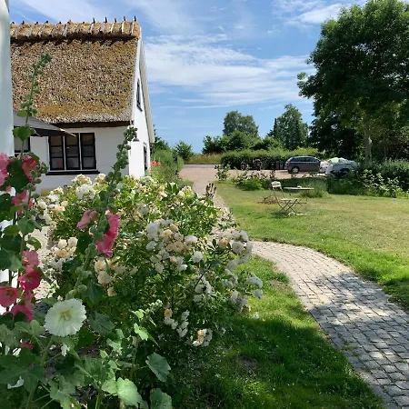 Mariegaardens Gaestehuse Oda ve Kahvaltı 3*