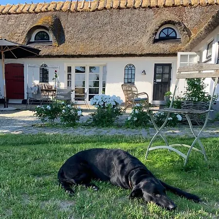Mariegaardens Gaestehuse ヒレレズ