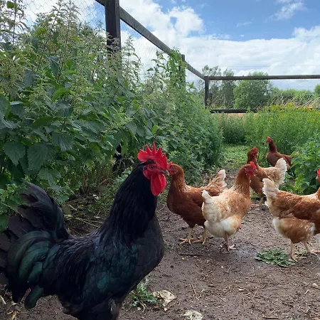 Mariegaardens Gaestehuse ベッド・アンド・ブレックファスト ヒレレズ