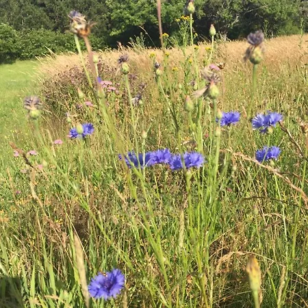 ベッド・アンド・ブレックファスト Mariegaardens Gaestehuse