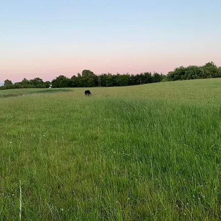 Mariegaardens Gaestehuse 3* ヒレレズ