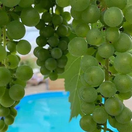 Mariegaardens Gaestehuse ベッド・アンド・ブレックファスト