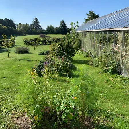 ベッド・アンド・ブレックファスト Mariegaardens Gaestehuse ヒレレズ