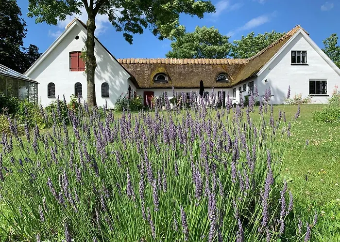 Mariegaardens Gaestehuse