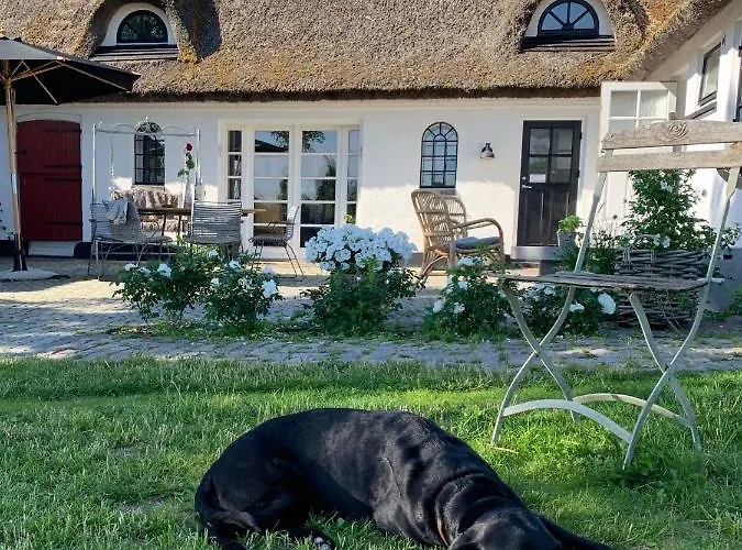 Mariegaardens Gaestehuse Hillerød